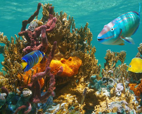 Andaman Adventure Tour