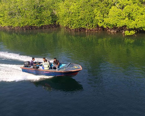 Andaman Wildlife & Mangrove Safari