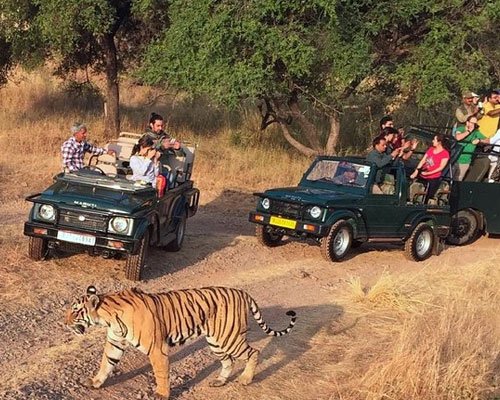 Golden Triangle with Ranthambore