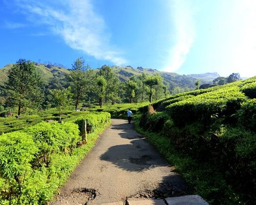 Magical Munnar Tour