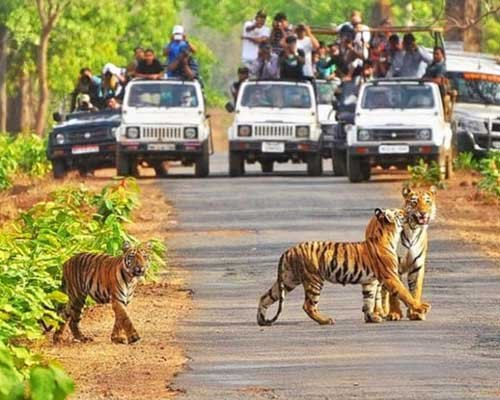 Kanha National Park