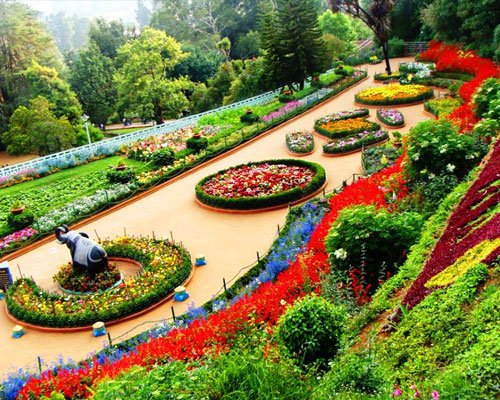 Ooty Botanical & Rose Garden Tour