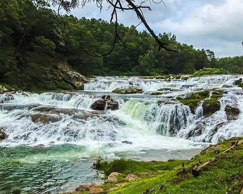 Ooty Lakes & Waterfalls Tour