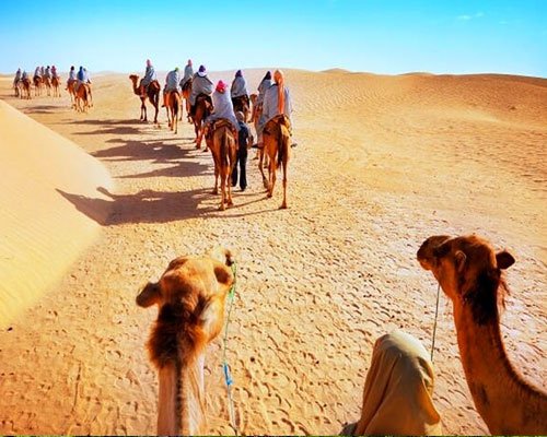Jaisalmer Bikaner Heritage Tour