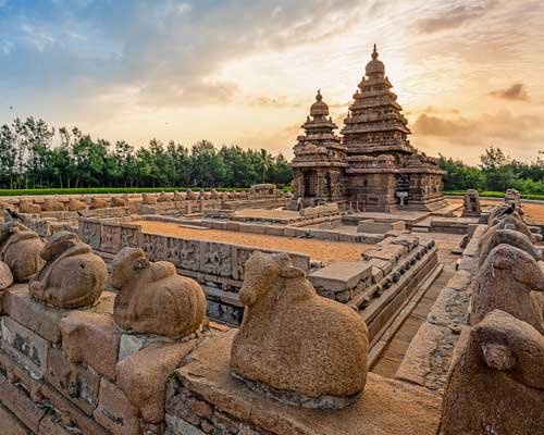 Mahabalipuram Tour