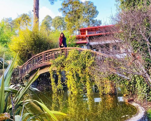 Almora & Binsar Hills Tour