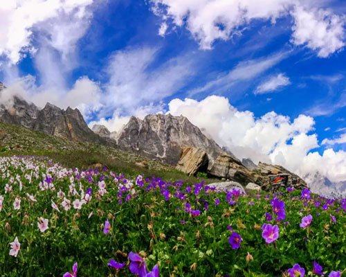 Valley of Flowers Expedition