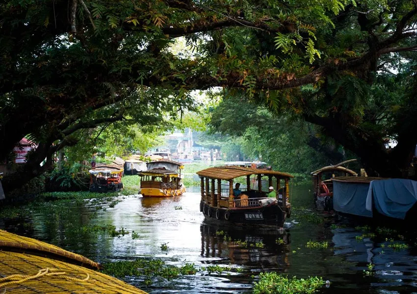 Best Places To Visit In Thekkady