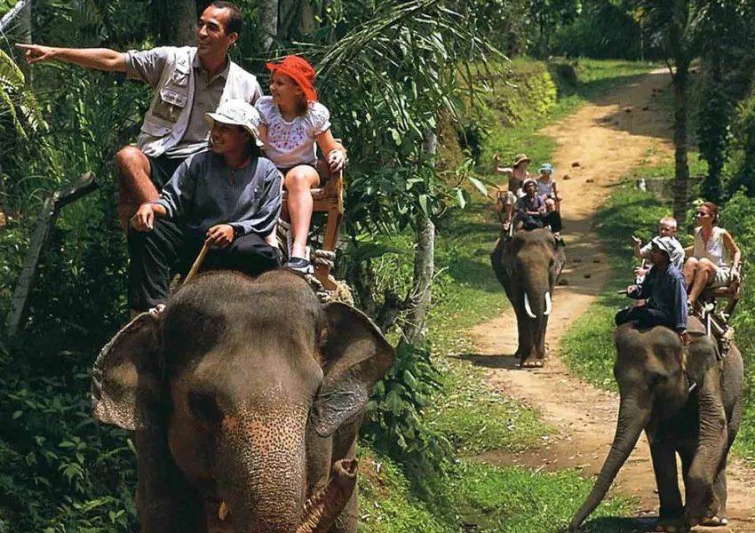 Best Places To Visit In Thekkady