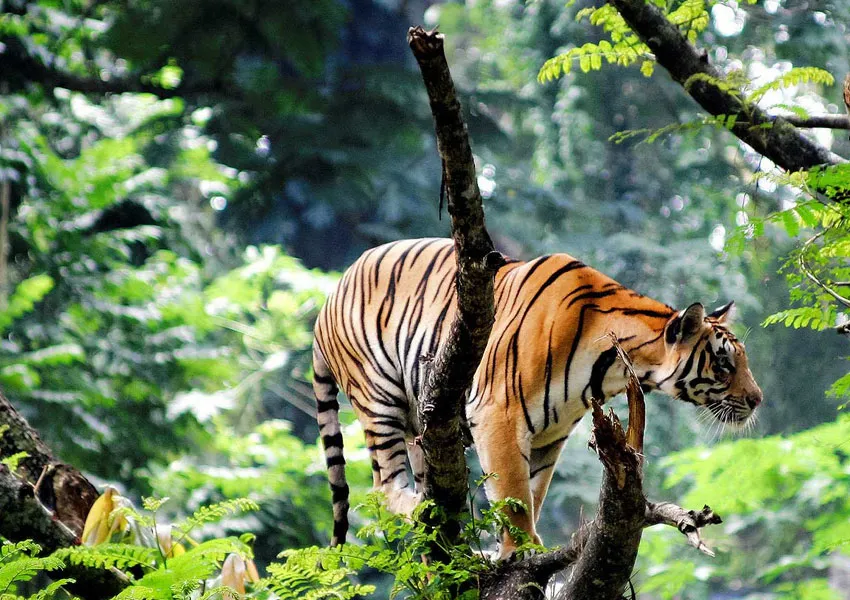 Best places to visit in fort kochi