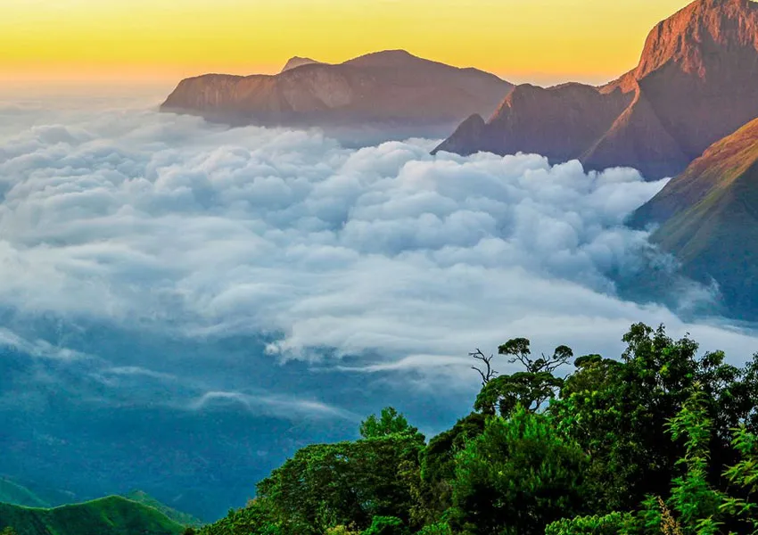 Best places to visit in munnar