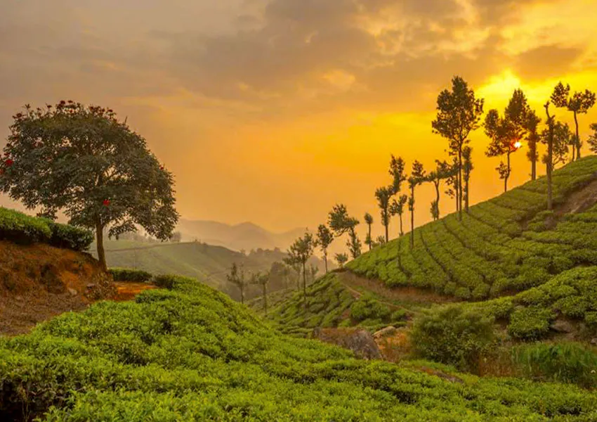 Best places to visit in munnar