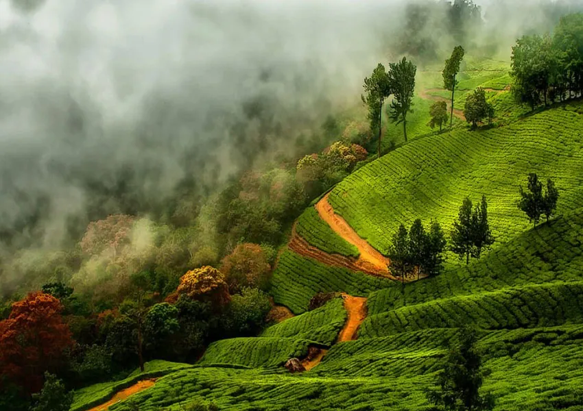 Best places to visit in Kerala 2025