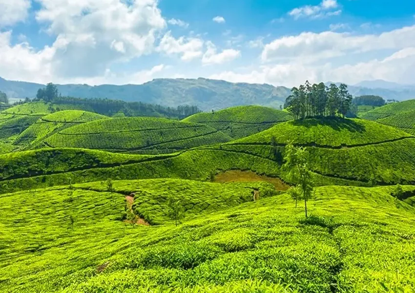 Top Best Places to Visit in Ponmudi 2025