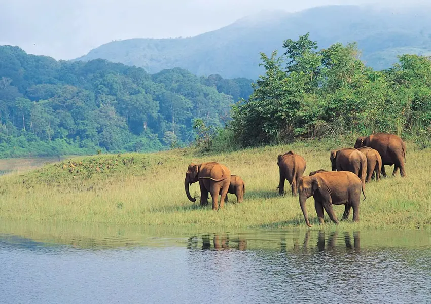 Top Best Places to Visit in Ponmudi 2025