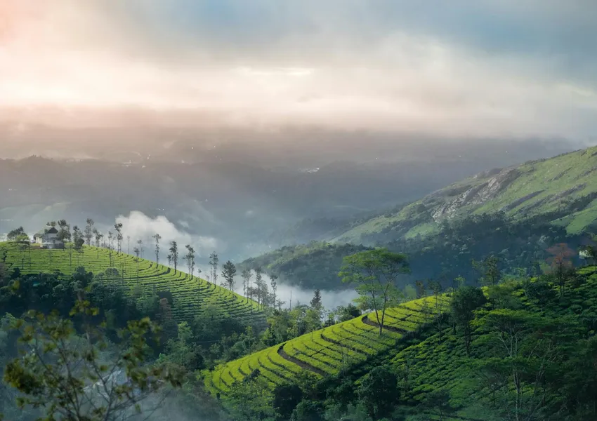 Top Best Places to Visit in Palakkad 2025