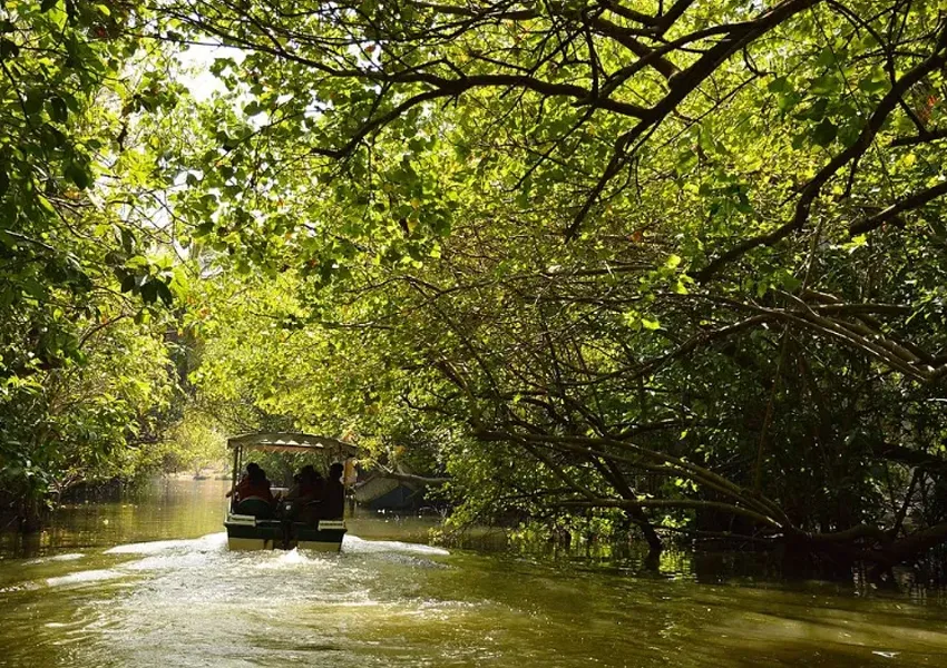 Latest Top Best Places to Visit in Poovar 2025