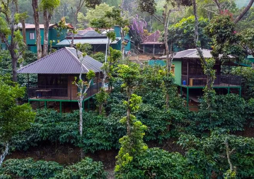 Top Best Places to Visit in Nelliyampathy 2025