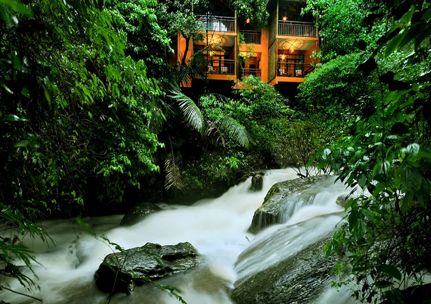 Top Best Places to Visit in Wayanad