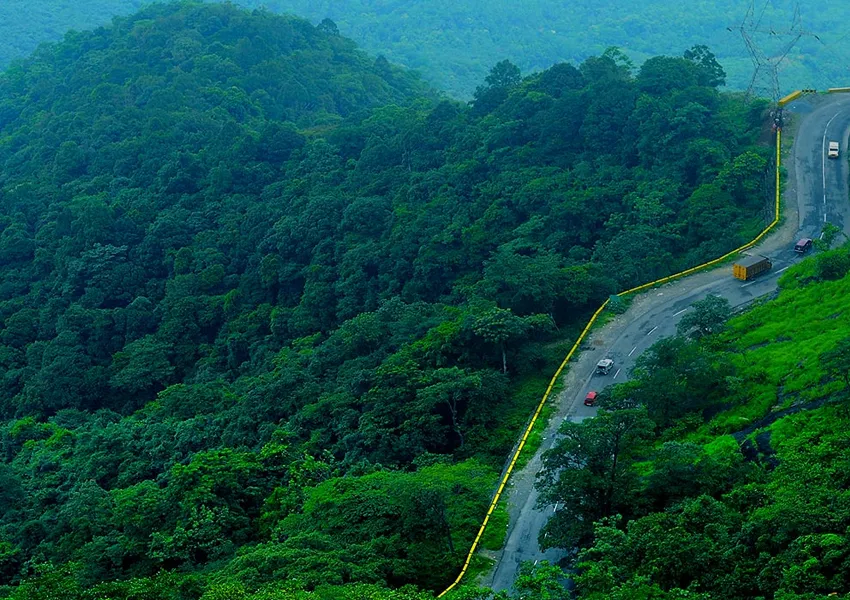 Top Best Places to Visit in Wayanad