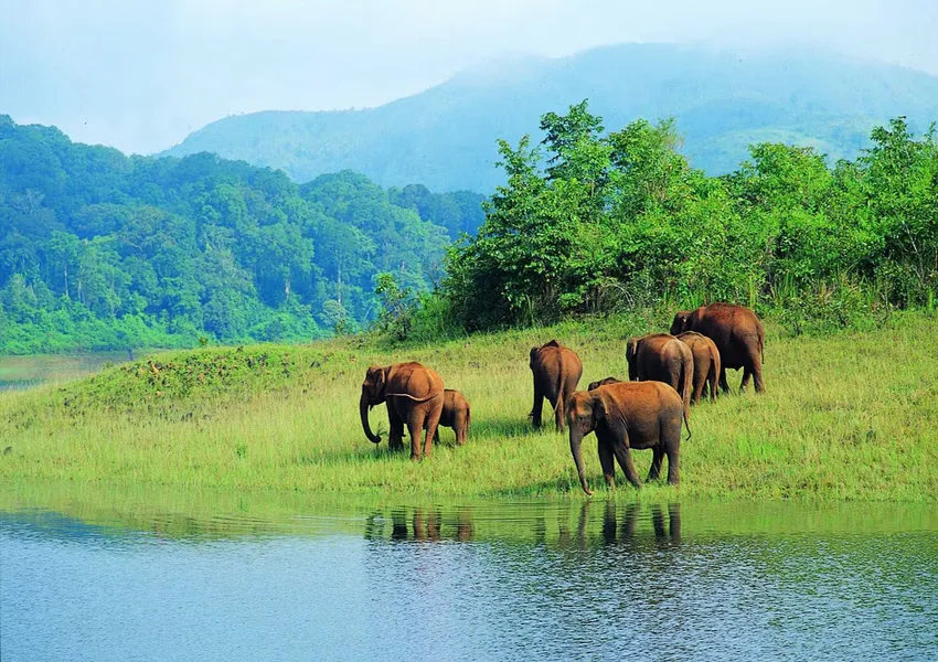 Top Best Places to Visit in Idukki 2025