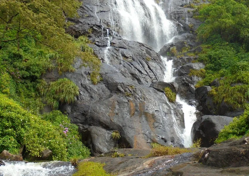 Top Best Places to Visit in Idukki 2025