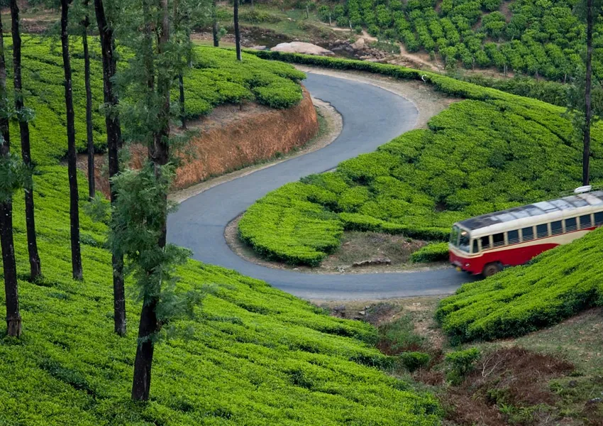 Top Best Places to Visit in Vagamon 2025