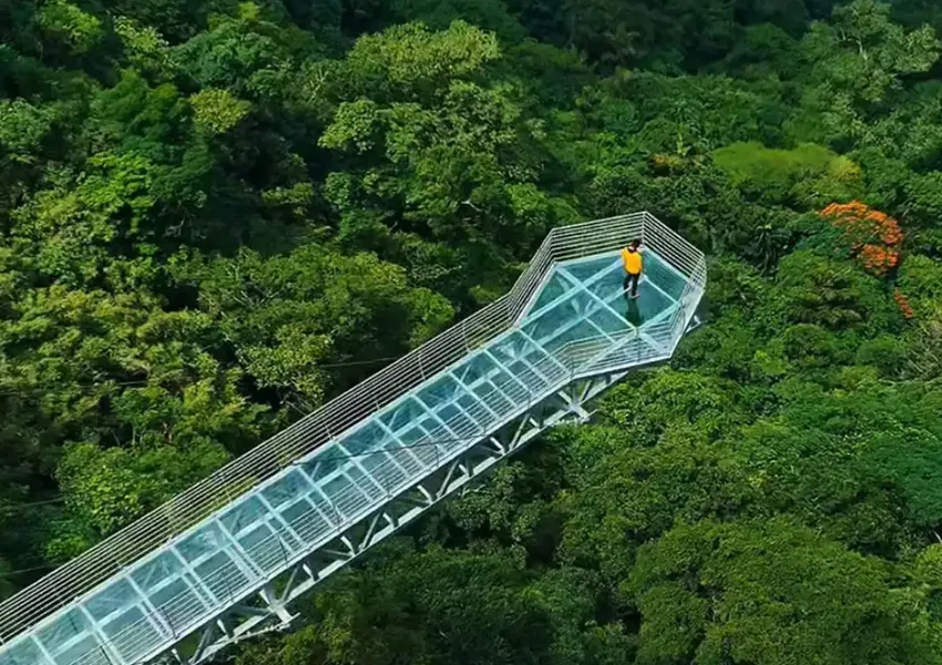 Top Best Places to Visit in Vagamon 2025