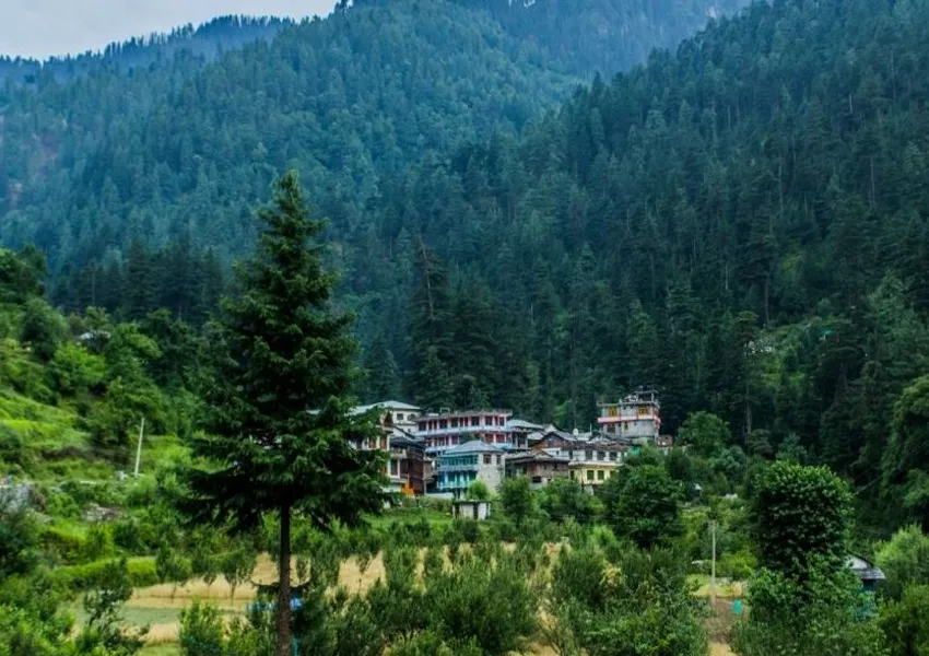 Top Best Places to Visit in Jibhi 2025