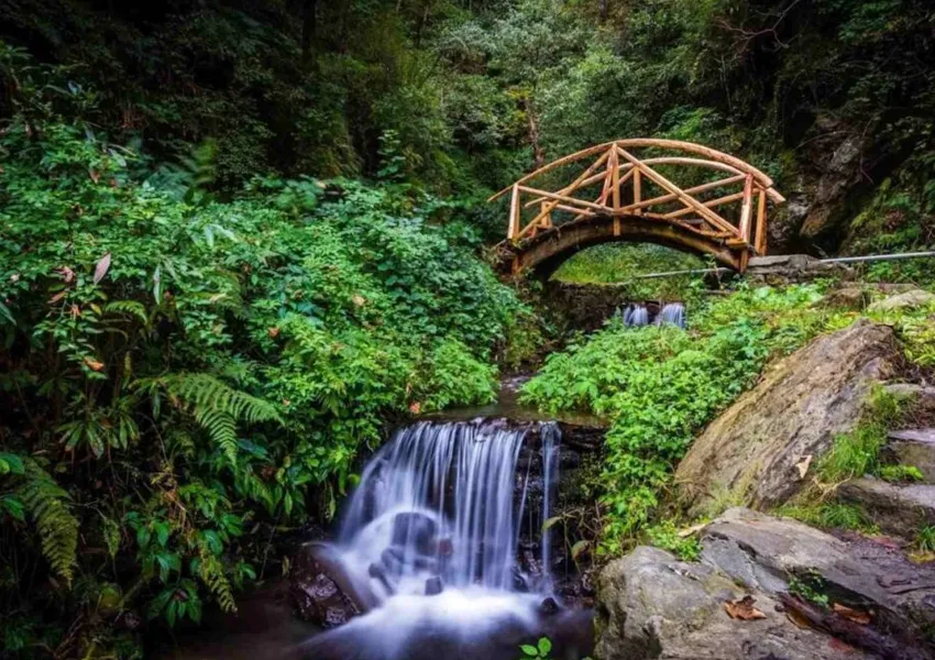 Top Best Places to Visit in Jibhi 2025