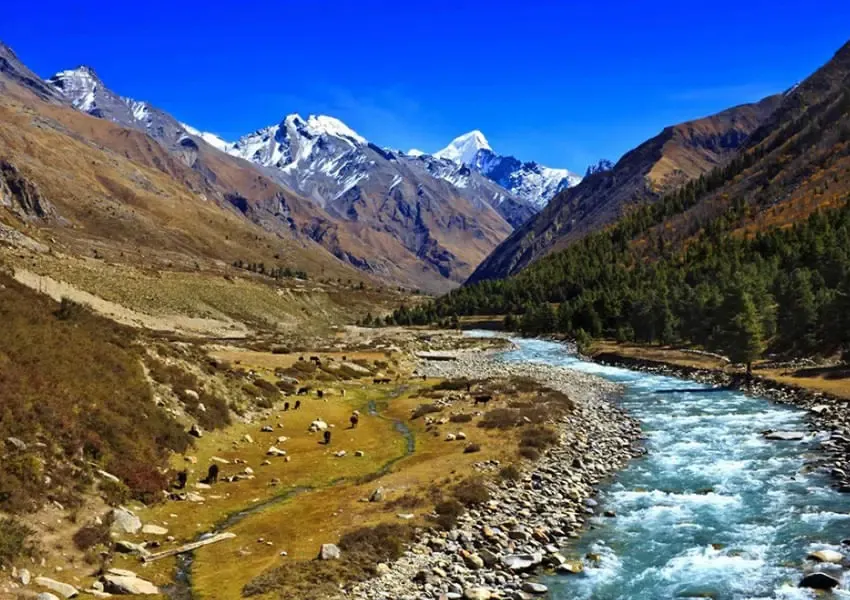 Top Best Places to Visit in Chitkul 2025