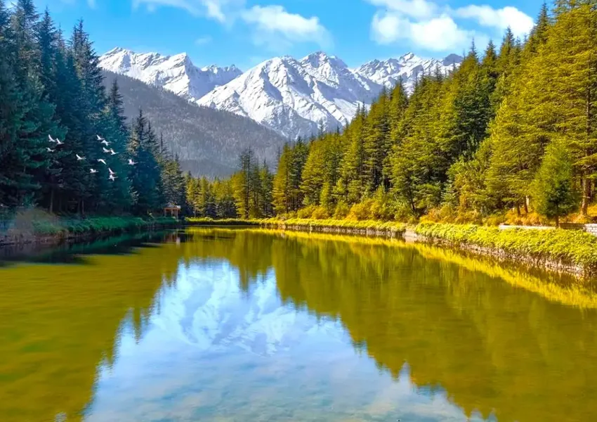 Top Best Places to Visit in Narkanda 2025