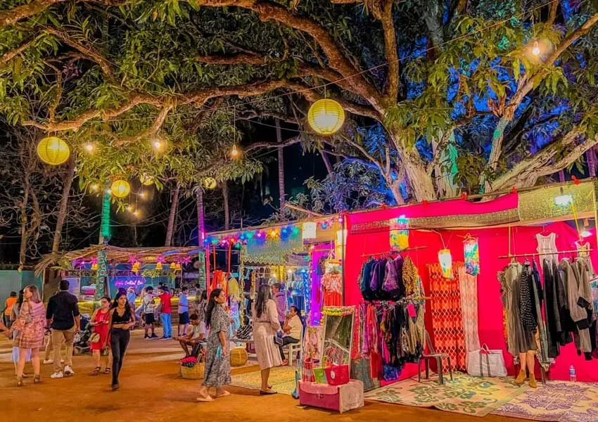 Top Best Places to Visit in Vagator 2026