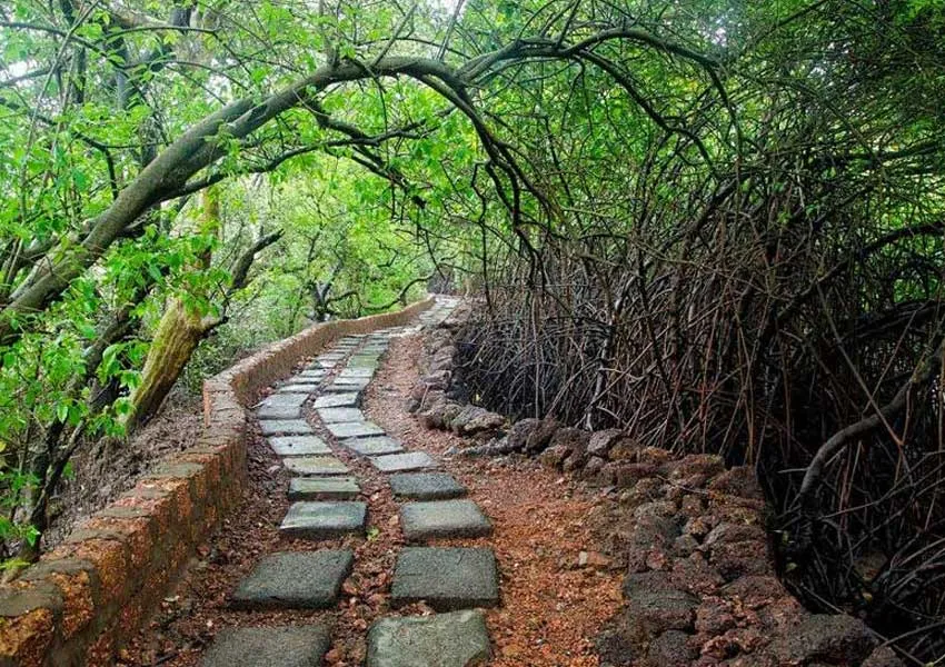 Top Best Places to Visit in Mapusa 2026