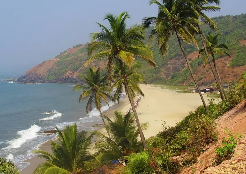 Top Best Places to Visit in Morjim 2026