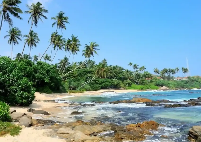 Top Best Places to Visit in Benaulim 2026