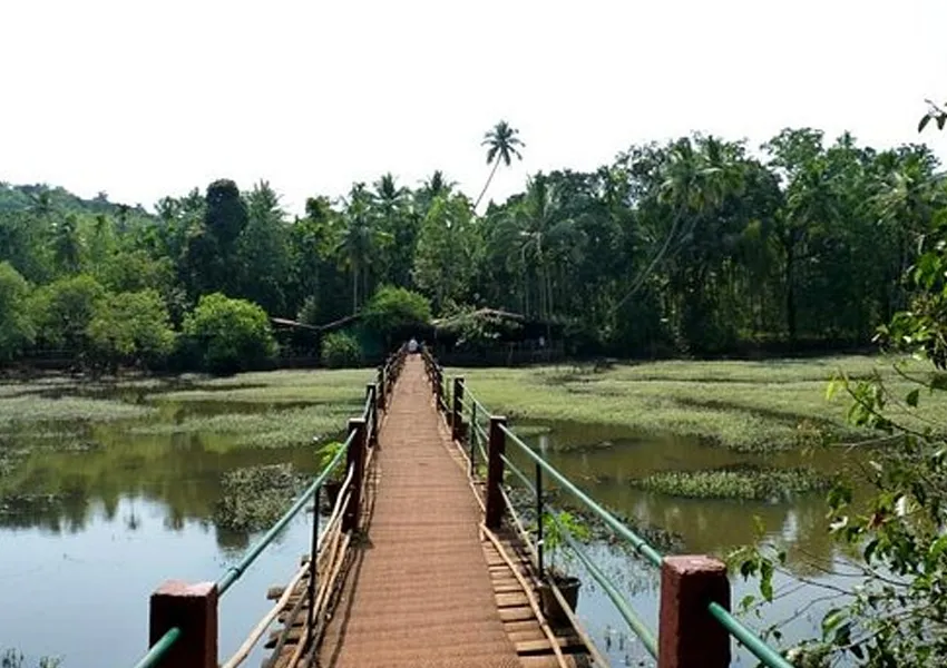 Top Best Places to Visit in Ponda 2026