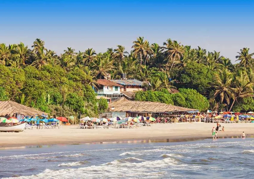 Top Best Places to Visit in Vasco da Gama 2026