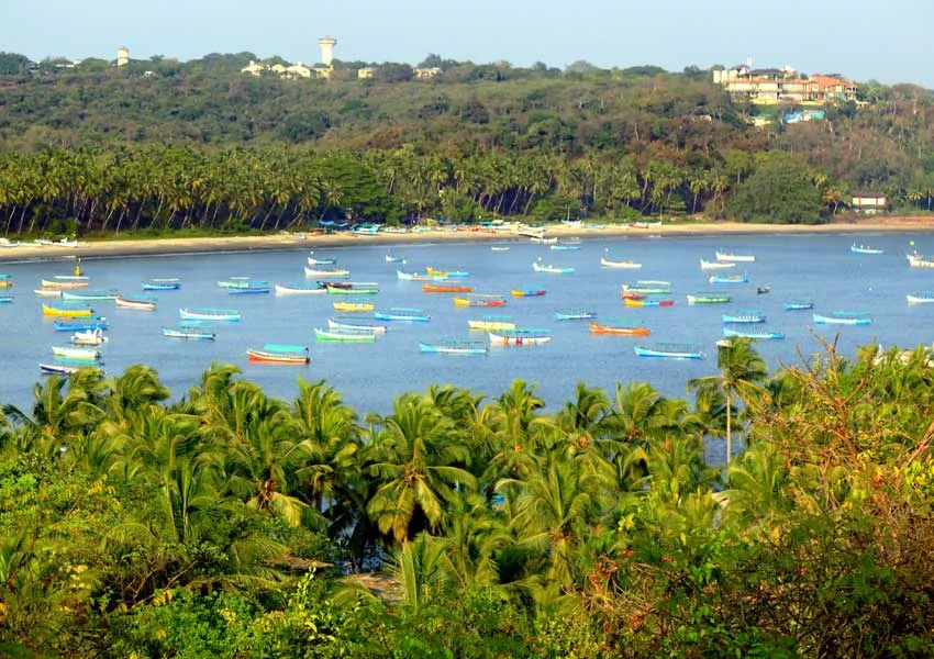 Latest Best Places to Visit in Nerul, Goa 2026