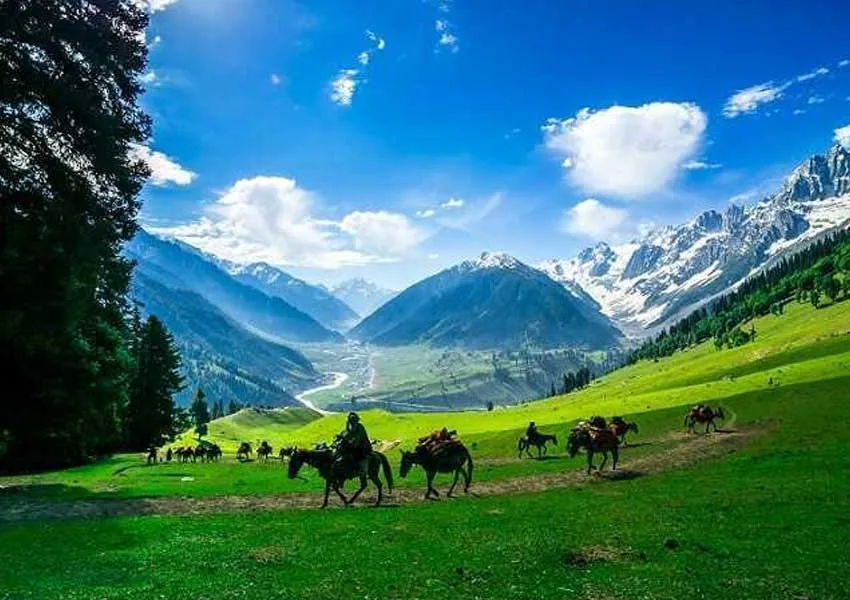 Top Best Places to Visit in Sonamarg 2026