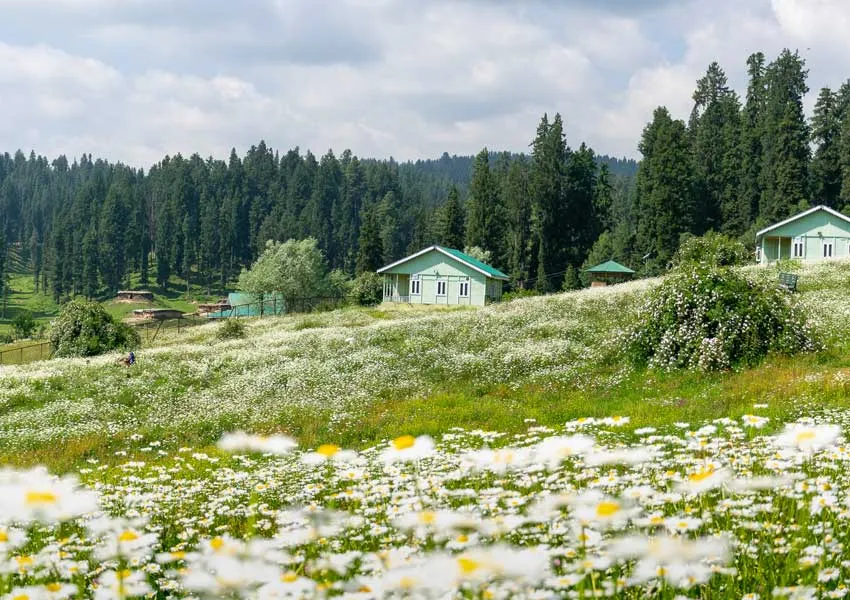 Finest Destinations to Visit In Yusmarg 2026