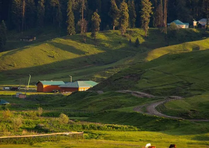 Top Best Places to Visit in Aru Valley 2026