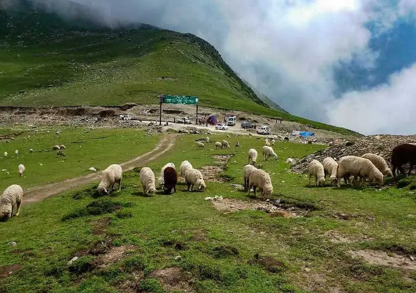 8 Perfect Places to Visit in Sinthan Top 2026