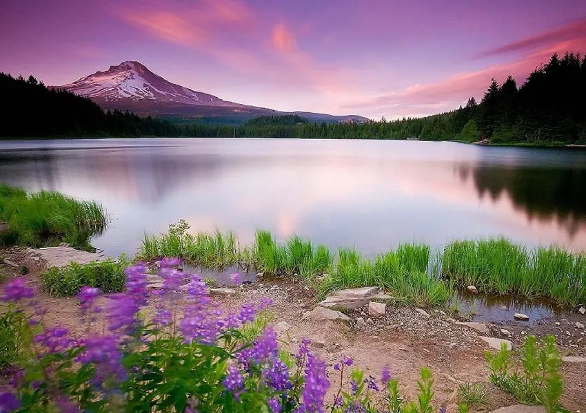 Latest 9 Stunning places to Explore in Wular Lake 2026