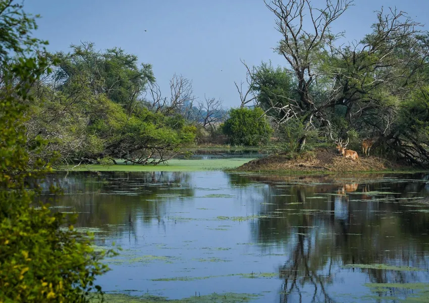 Top Most Visited Places to in Bharatpur 2026