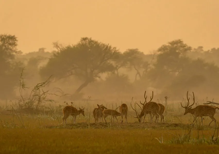 Top Most Visited Places to in Bharatpur 2026