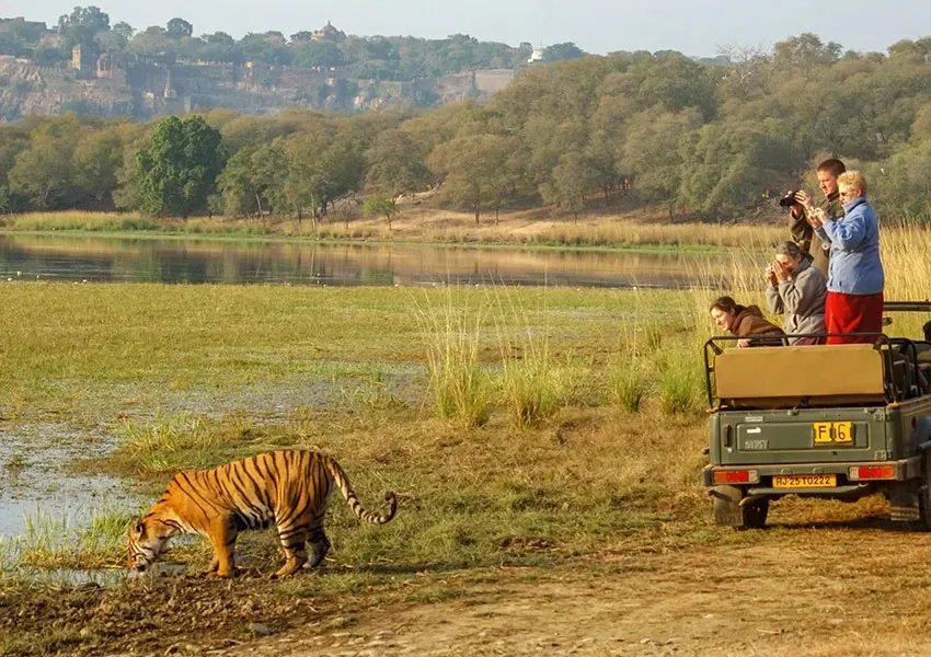 Most Aesthetic Places to Visit in Rajasthan: Wildlife & National Parks 2026