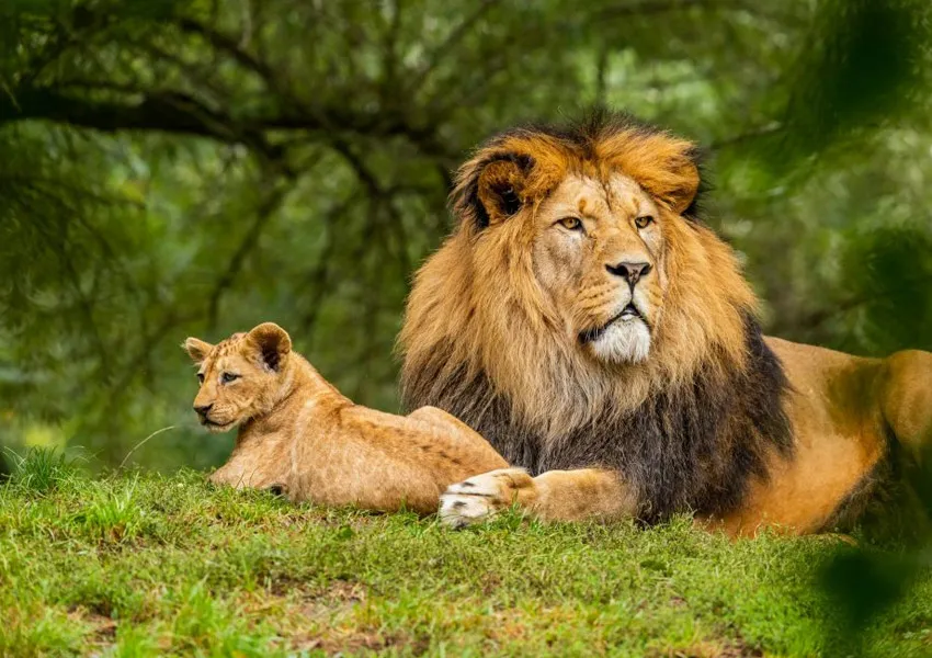 Most Aesthetic Places to Visit in Rajasthan: Wildlife & National Parks 2026