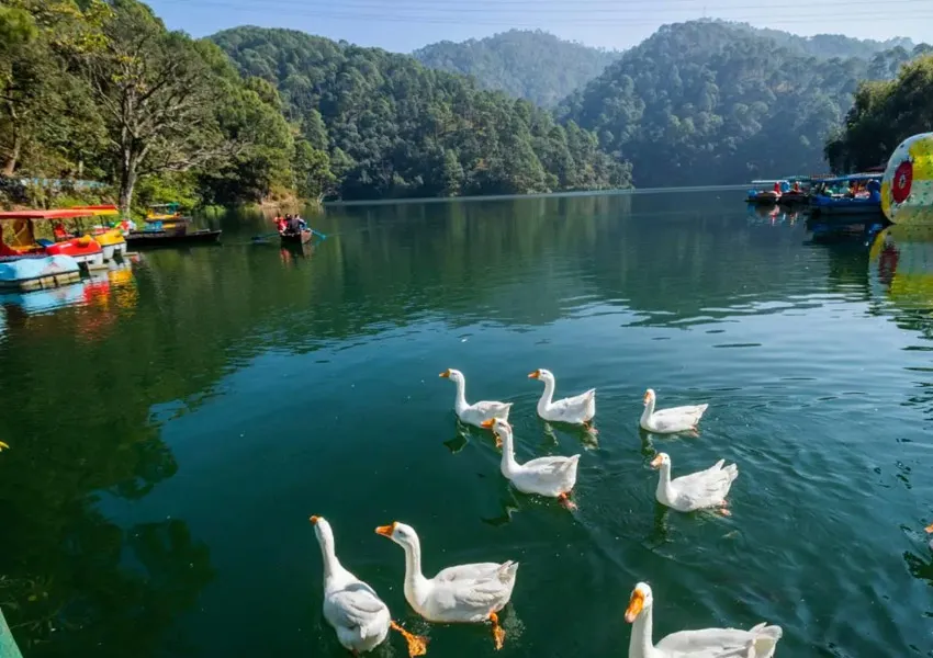 Naukuchiatal is where you would want to go