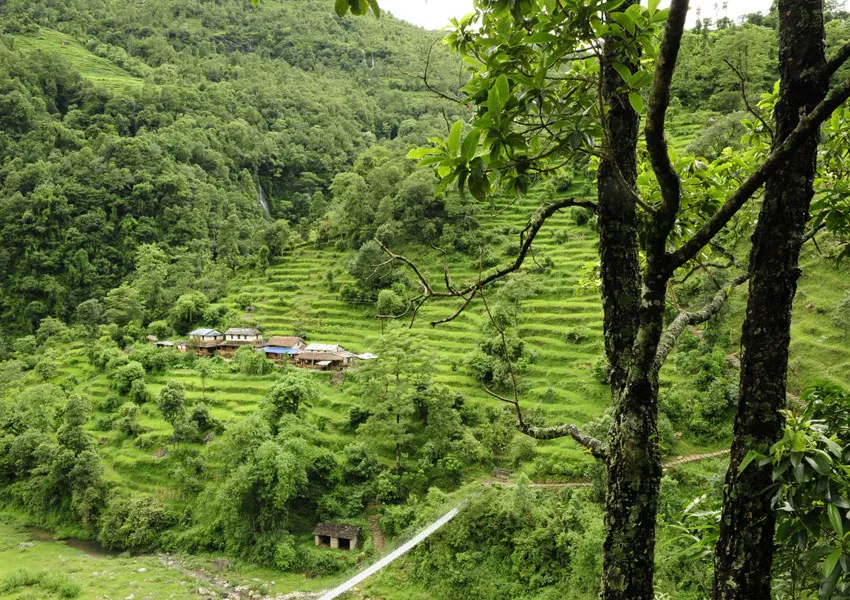 Top Places to Visit in Pangot |A Serene Paradise for Bird Lovers